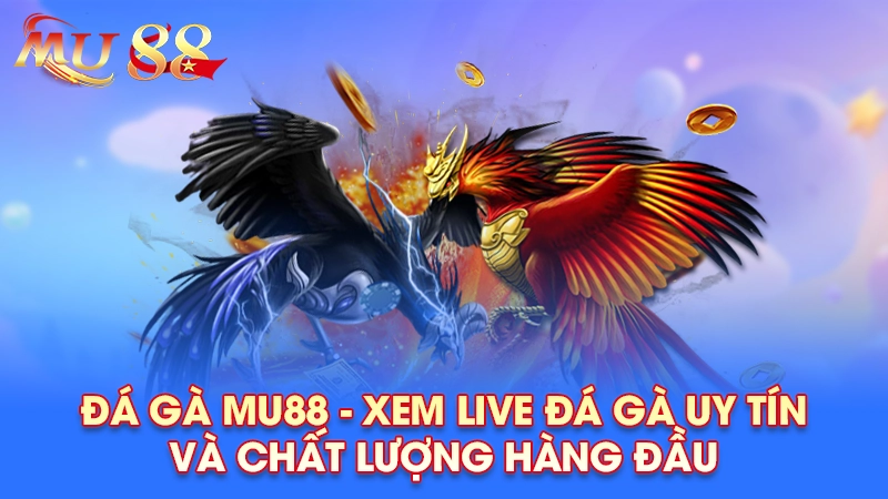 Đá gà Mu88